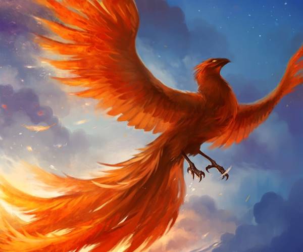 Giải mã giấc mơ thấy chim phượng hoàng là điềm báo gì