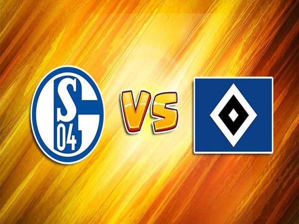Nhận định Schalke vs Hamburger, 01h30 ngày 24/7 hạng 2 Đức
