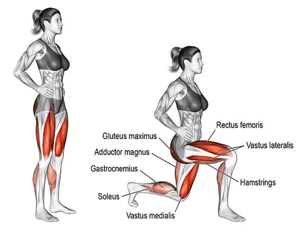 Bài tập Lunges là gì?