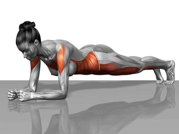 Bài tập plank là gì?