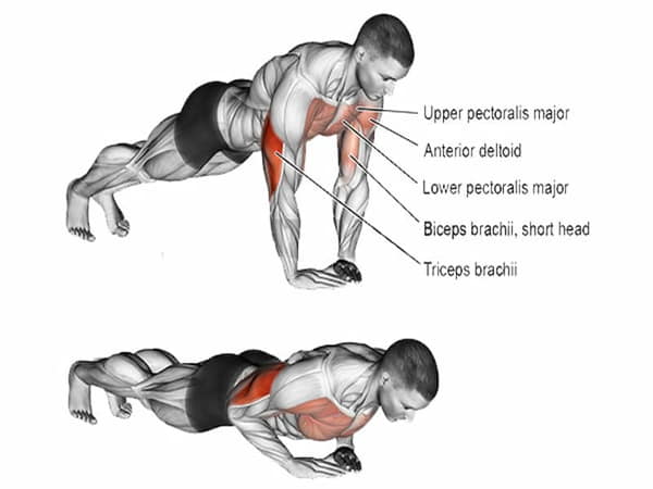 Cách chống đẩy đúng cách