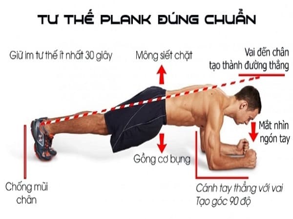Tư thế plank chuẩn