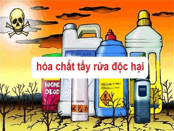 Tránh tiếp xúc với hóa chất độc hại
