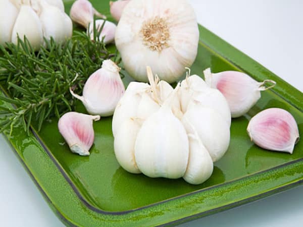 Trên bảo dưới không nghe nên ăn tỏi - hành