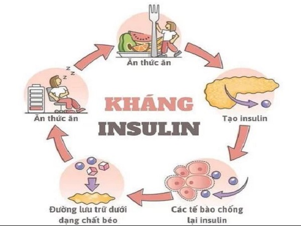 Hiểu đúng về kháng insulin