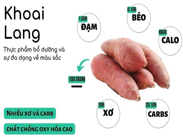 Khoai lang – Thực phẩm dân dã giàu giá trị dinh dưỡng