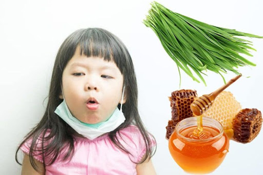 Nguyên nhân gây ho ở trẻ